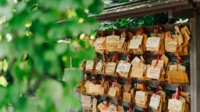 Many-votive-tablets-with-wishes-written-on-them-inside-the-shrine-grounds