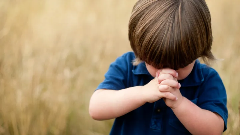草原で手を合わせて祈る小さい男の子
