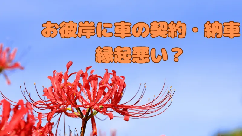 赤くきれいに咲いた彼岸花と雲一つない青空