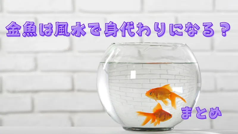 白い部屋に置かれた、2匹の金魚が泳ぐ金魚鉢
