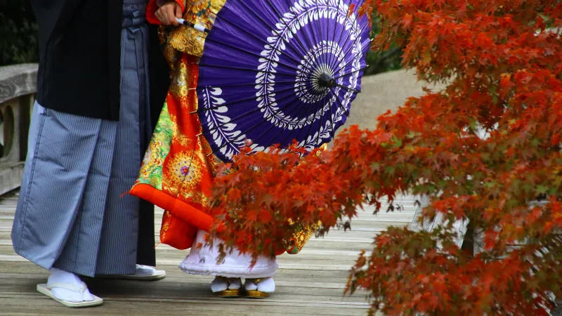 紺色の蛇の目傘を持ち赤い打掛を羽織った着物姿の女性と、袴姿の男性