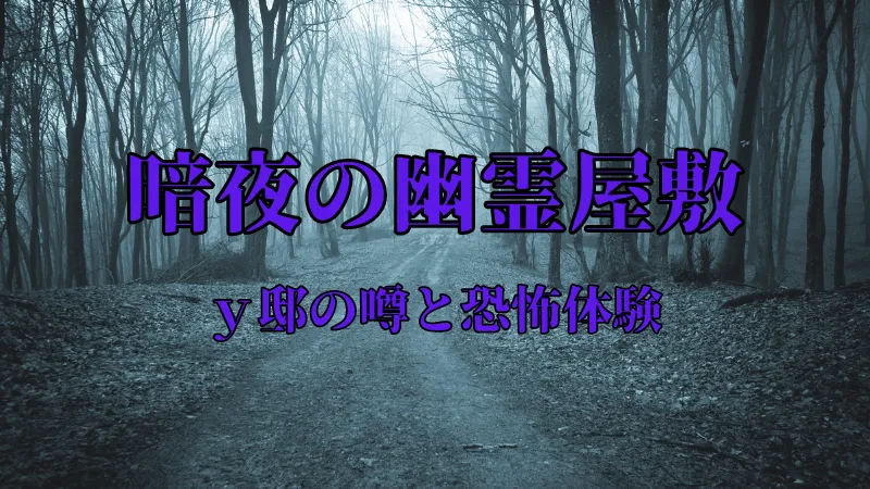 葉のない木々が生い茂った薄暗い山道